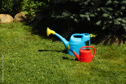 Gardening, summer or outdoor maintenance. Two colorful watering cans on lush lawn in backyard garden