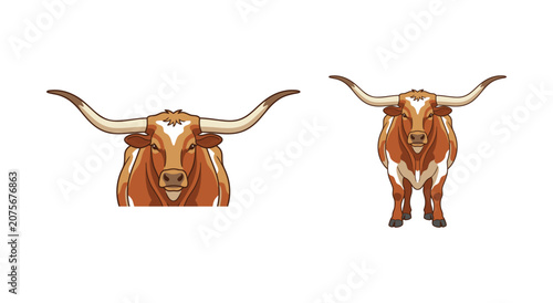 Western bull and cowboy animal set illustration for ranch branding on white background