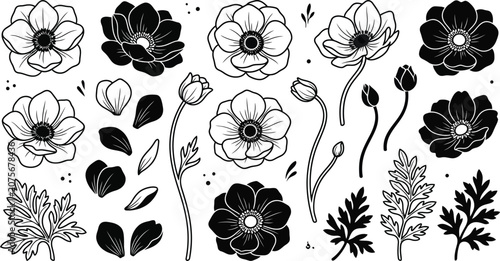 Foto Set of hand drawn anemone flowers and leaves in black and white ink sketch style