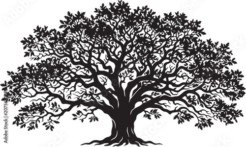 Valokuva Black silhouette of a tree with sprawling branches and leaves isolated on white
