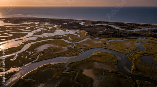 Coastal Marshland at Sunset: An aerial view captures the intricate network of winding waterways through a lush coastal marshland.