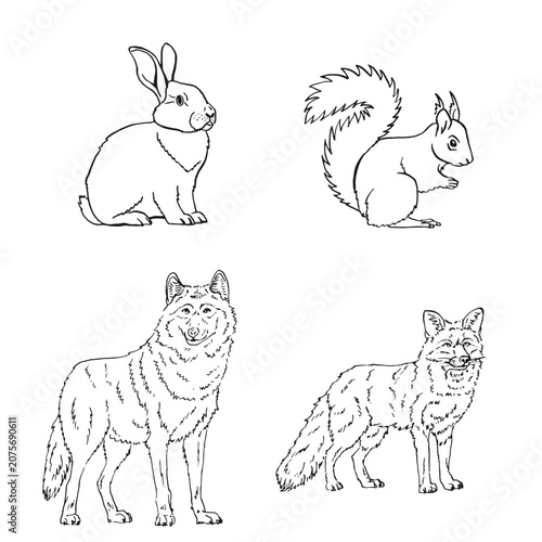 Photography Wild animals set including wolf, fox, rabbit, squirrel in hand drawn sketch style