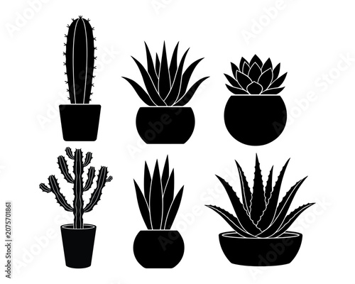 Cactus and Succulent Plant Silhouette Set in Pots Isolated on White Background