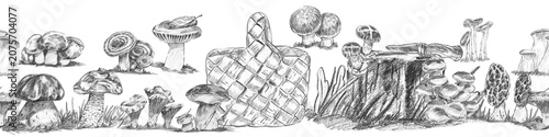 Foto Wide seamless horizontal forest border with wicker basket, stump, knife, and various wild mushrooms