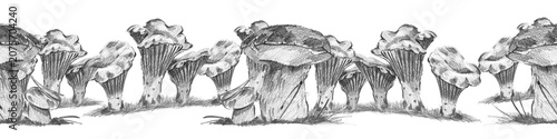 Foto Seamless horizontal border with repeating chanterelles and a Polish bolete mushroom with a small baby fungus