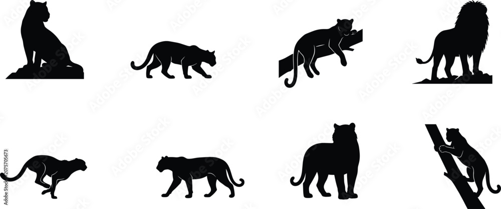 Obraz premium Big Cat and Lion Silhouette Collection Featuring Leopard Panther Cheetah Climbing and Resting Wildlife Vector Set