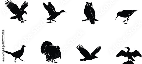 Foto Bird Silhouette Vector Collection Featuring Eagle Owl Duck Turkey Pheasant Wadin