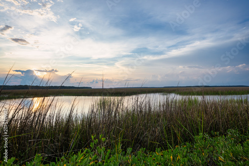 View of a wetland during sunset with tall grass and calm water reflecting the sky