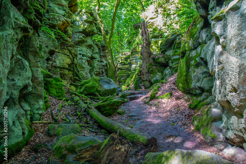 Tableau sur toile Devil's Gorge (Teufelsschlucht) Ernzen Rhineland Palatinate Germany