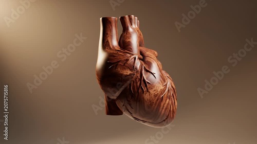 Wooden Heart Anatomy.
