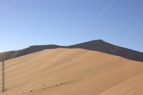 Massive Sand Dunes at Sossusvlei Namib Desert Namibia with Clear Blue Sky and Golden Light on Rippled Sand