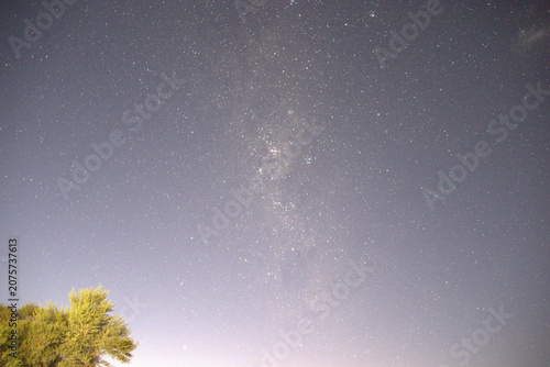 Milky Way Galaxy Night Sky Full of Stars with Tree Silhouette and Light Pollution on Horizon Long Exposure Astrophotography