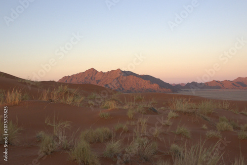 Namib Desert Sand Dunes at Sunrise with Red Dunes, Grass Tufts and Rocky Mountains at Golden Hour, Namibia Africa
