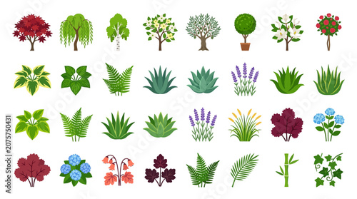 Bild auf Leinwand A flat lay of various colorful plants and flowers arranged in rows on a white background with vibrant green, red, purple, and blue hues