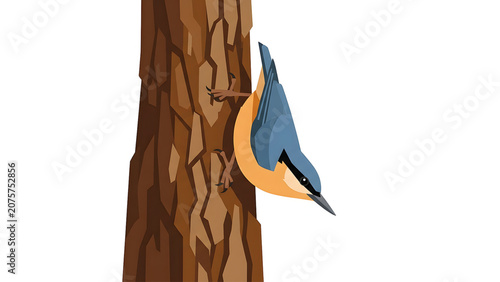 Cuadro en lienzo Nuthatch bird on tree trunk