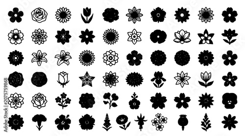Flowers in Black and White Showcasing Various Styles and Designs Featuring Flower, Design, Illustration with Vector and Nature