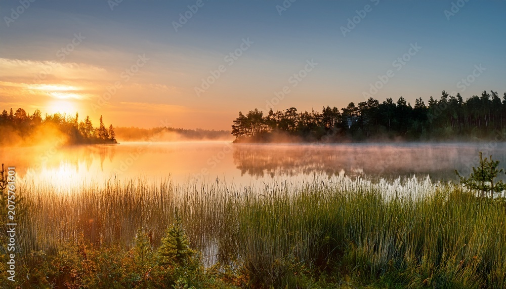 Fototapeta premium Fog Rising From Lake At Summer Morning Sunrise Landscape