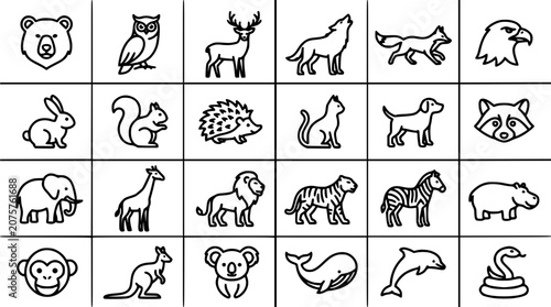 Photography Animals Arranged in a Grid of Various Animal Icons Featuring Illustration, Vecto