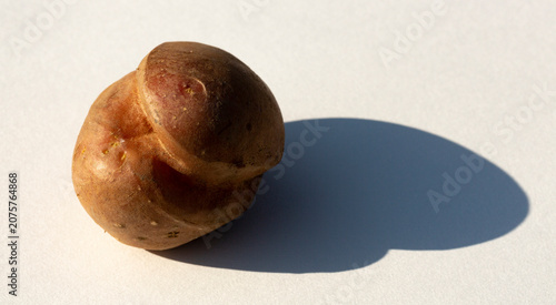 Schilderij op canvas A strangely shaped potato on a white background.