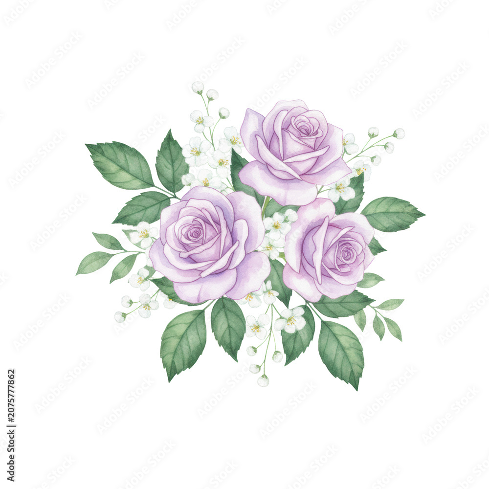 Fototapeta premium watercolor illustration of soft lavender roses with transparent washes and white blossoms, lush deep green leaves on a transparent background, delicate botanical elegance