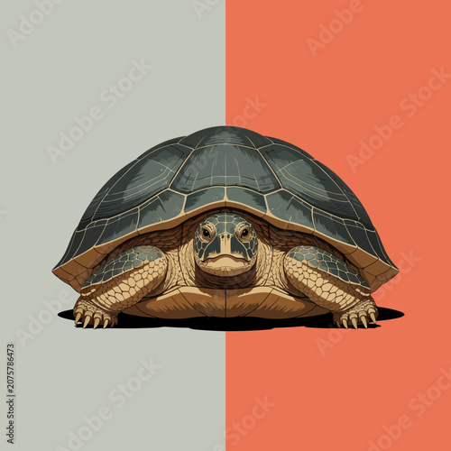 Turtle Looking Directly at Camera Closeup.