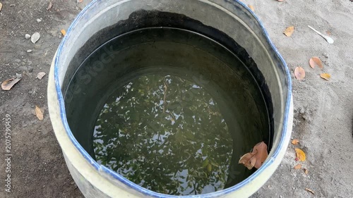 Collecting Rain Water in a Simple Barrel for Gardening