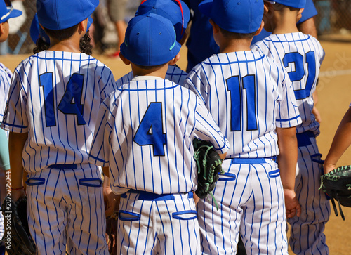 Back view of youth baseball team in pinstripe uniforms. Youth players standing together in a team huddle.