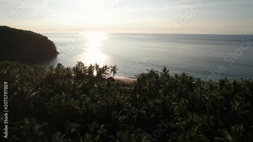 Aerial View of Virgin Beach Palm Forest, Ocean Horizon and Sun Reflection on Water in Bali