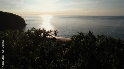 Aerial View of Virgin Beach Palm Forest, Ocean Horizon and Sun Reflection on Water in Bali