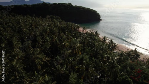 Aerial View of Virgin Beach Palm Forest, Ocean Horizon and Sun Reflection on Water in Bali