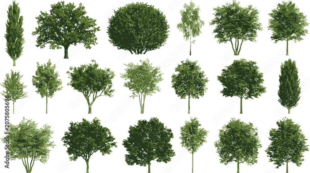 Fototapeta premium Collection of various green deciduous trees and shrubs isolated on white background for architectural landscape design projects