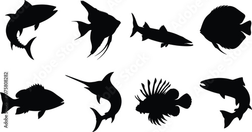 Fotografie Marine and freshwater fish silhouette vector set including tuna angelfish barrac