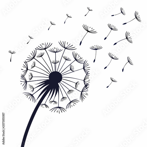 Konstfotografi Dandelion flower with flying seeds blowing in the wind silhouette dandelion silh