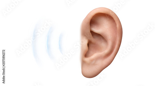Human ear profile close up with visual sound wave ripples auditory listening acoustic waveforms detection vibration perception physiological physical reception frequencies communication