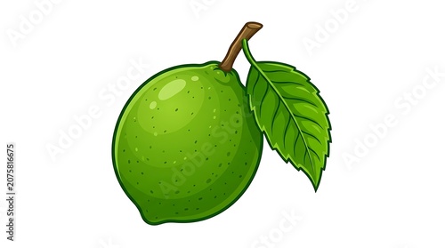 Fresh green apple with leaf on white background.