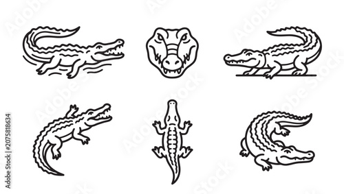 Collection of alligator and crocodile vector outline illustrations with alligator crocodile predator wildlife dangerous illustration collection monochrome isolated aggressive tropical