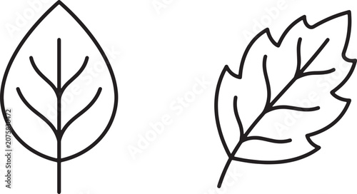 Foto Art & Illustration, Ovate leaf shape and stylized oak leaf with wavy scalloped margins line art