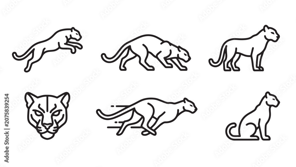 Fototapeta premium Collection of panther and feline silhouette icons in action poses with predator wildlife collection carnivore movement illustration isolated strength athletic
