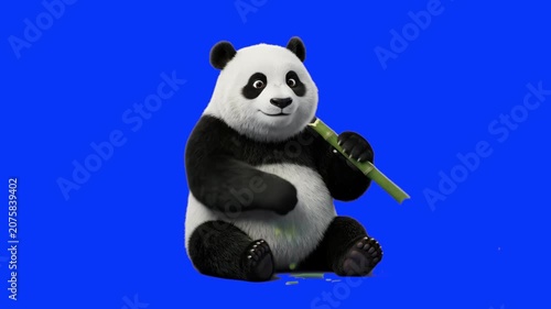 A cheerful 3D animated character of a friendly giant panda sitting and eating a green bamboo stalk against a solid blue studio backdrop. Ideal for children's educational media, wildlife awareness vide