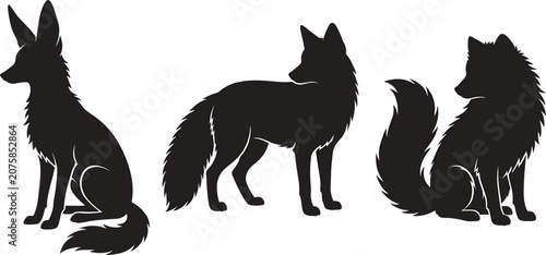 Fotografie Wild Fox Silhouette Vector Icon Set with Fennec, Red, and Arctic Breeds Displayi