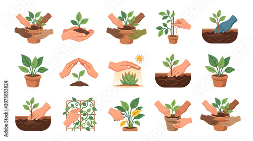 Diverse hands nurturing plants symbolizing growth support and mental well being at work