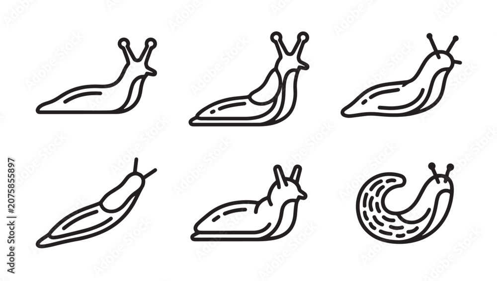 Obraz premium Set of six slug line art illustrations showing various crawling and shell-less shapes with creature gastropod wildlife illustration collection crawling shellless minimalist isolated creeping