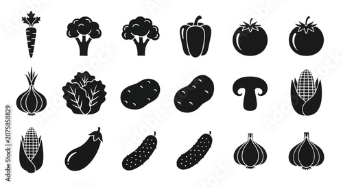 Bilde på lerret A variety of vegetables are arranged in rows on a table indoors.