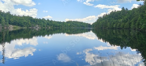 Photography reflection of trees in the lake