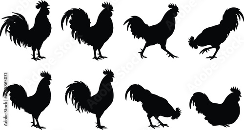 Schilderij op canvas Rooster silhouettes set featuring crowing standing walking peck soil bending for