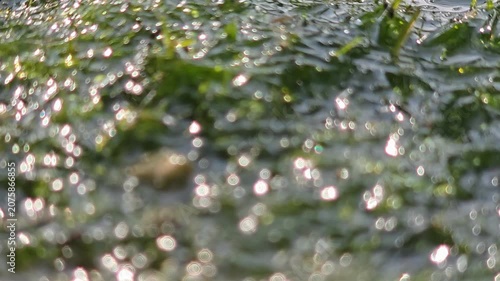 
Glowing Bokeh and Sparkling Water Surface with Morning Sunlight, Abstract Nature Background(4k)

