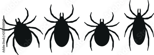Bild auf Leinwand Silhouettes of Four Ticks insect arachnid