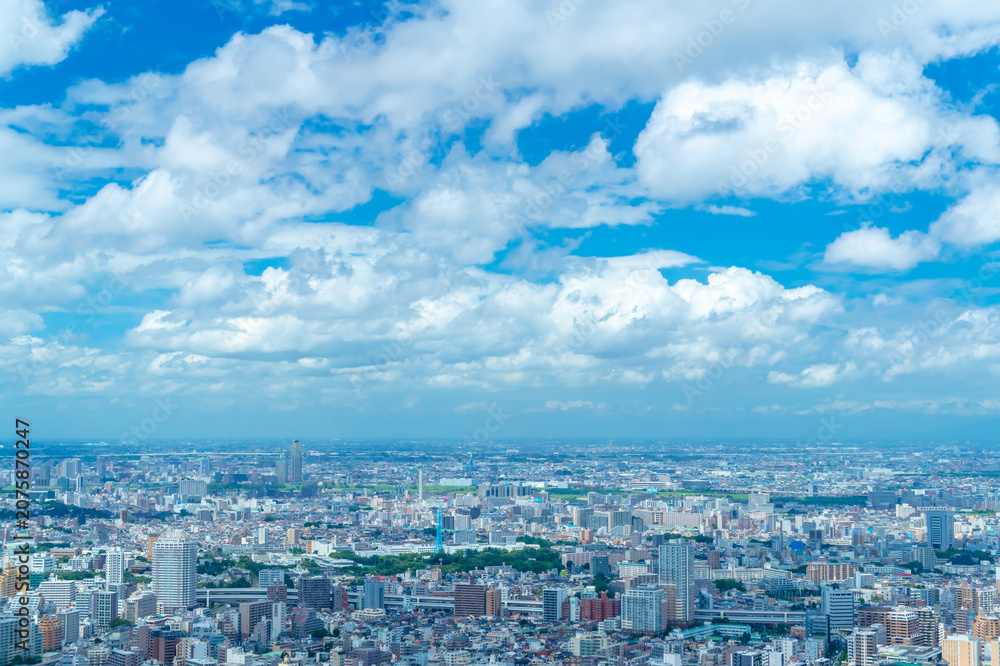 Fototapeta premium 夏空の東京風景
