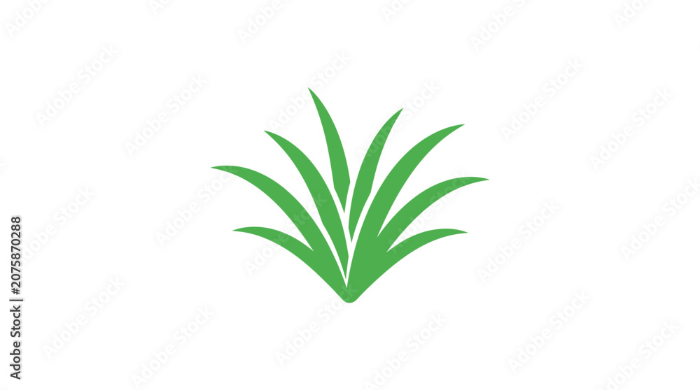 Fototapeta premium Simple green plant leaves on a white background with a minimalist composition and calming natural mood.