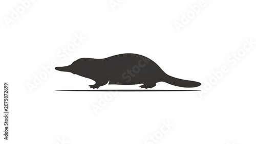 Fotografie Black platypus swimming gracefully in water Vector